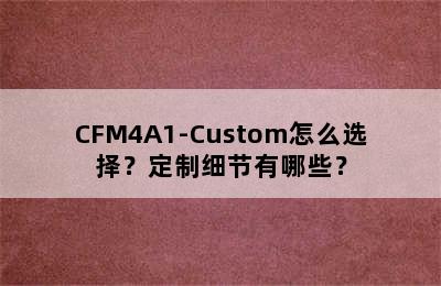 CFM4A1-Custom怎么选择？定制细节有哪些？