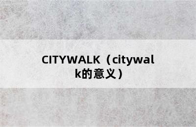 CITYWALK（citywalk的意义）