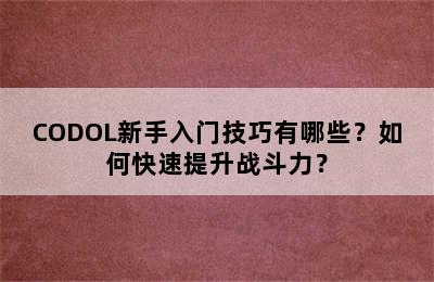 CODOL新手入门技巧有哪些？如何快速提升战斗力？