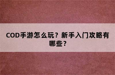 COD手游怎么玩？新手入门攻略有哪些？