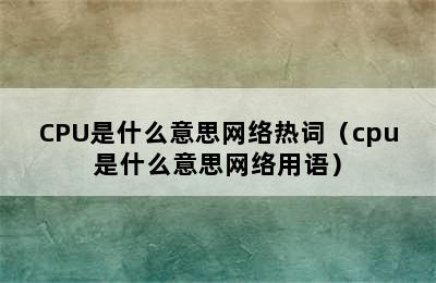 CPU是什么意思网络热词（cpu是什么意思网络用语）