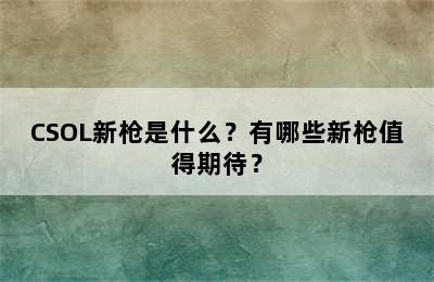 CSOL新枪是什么？有哪些新枪值得期待？