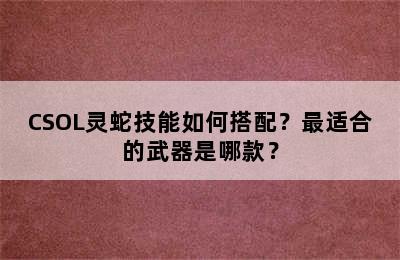 CSOL灵蛇技能如何搭配？最适合的武器是哪款？