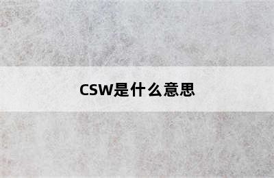 CSW是什么意思