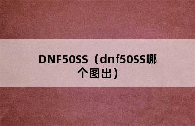 DNF50SS（dnf50SS哪个图出）