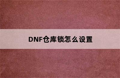 DNF仓库锁怎么设置