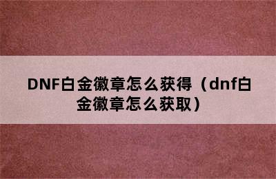 DNF白金徽章怎么获得（dnf白金徽章怎么获取）