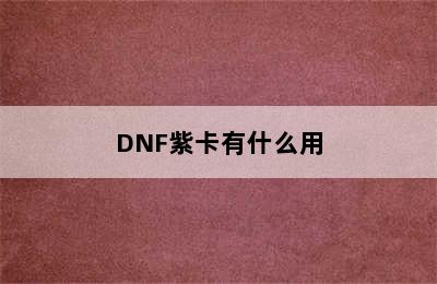 DNF紫卡有什么用