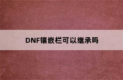 DNF镶嵌栏可以继承吗