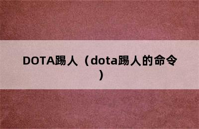 DOTA踢人（dota踢人的命令）