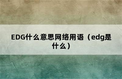 EDG什么意思网络用语（edg是什么）