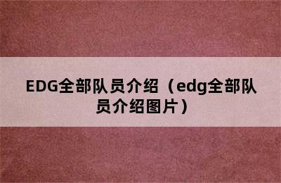 EDG全部队员介绍（edg全部队员介绍图片）