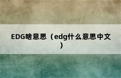 EDG啥意思（edg什么意思中文）