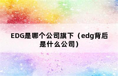 EDG是哪个公司旗下（edg背后是什么公司）