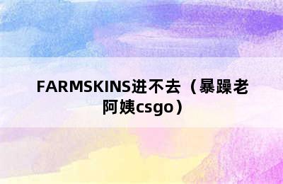 FARMSKINS进不去（暴躁老阿姨csgo）