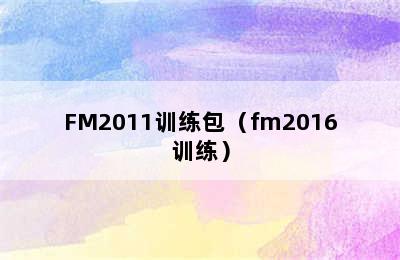 FM2011训练包（fm2016训练）