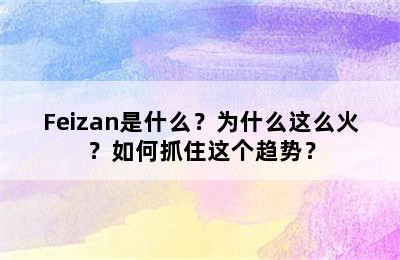 Feizan是什么？为什么这么火？如何抓住这个趋势？