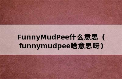 FunnyMudPee什么意思（funnymudpee啥意思呀）