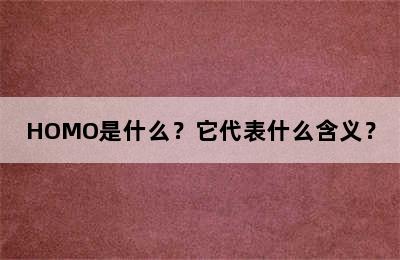 HOMO是什么？它代表什么含义？