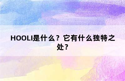 HOOLI是什么？它有什么独特之处？