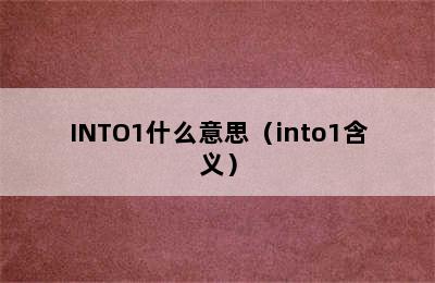 INTO1什么意思（into1含义）