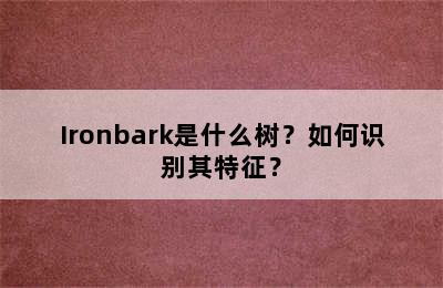 Ironbark是什么树？如何识别其特征？