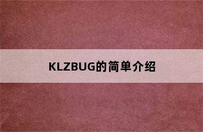 KLZBUG的简单介绍