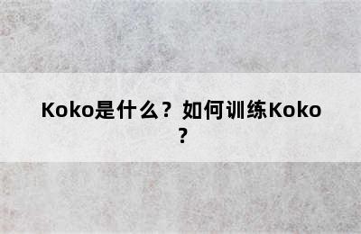 Koko是什么？如何训练Koko？