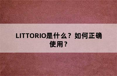 LITTORIO是什么？如何正确使用？