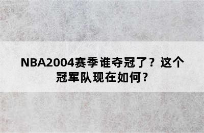 NBA2004赛季谁夺冠了？这个冠军队现在如何？