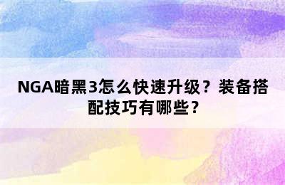 NGA暗黑3怎么快速升级？装备搭配技巧有哪些？