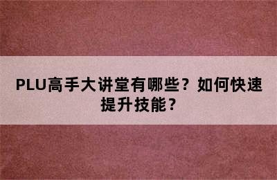 PLU高手大讲堂有哪些？如何快速提升技能？