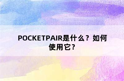 POCKETPAIR是什么？如何使用它？