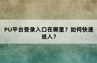 PU平台登录入口在哪里？如何快速进入？