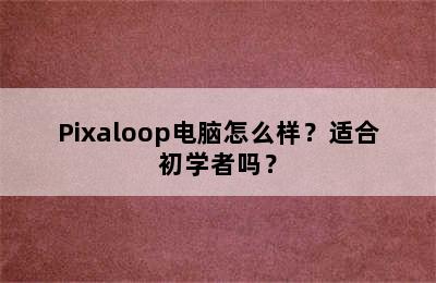 Pixaloop电脑怎么样？适合初学者吗？