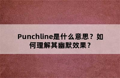 Punchline是什么意思？如何理解其幽默效果？