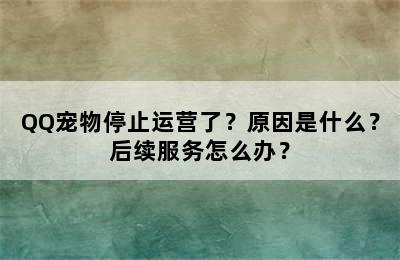 QQ宠物停止运营了？原因是什么？后续服务怎么办？