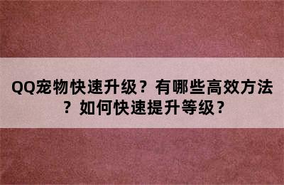 QQ宠物快速升级？有哪些高效方法？如何快速提升等级？