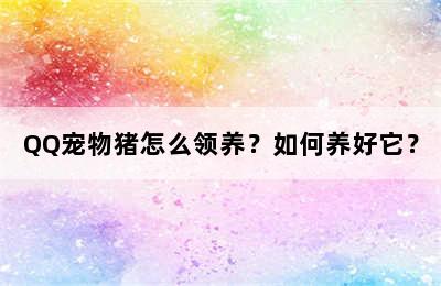 QQ宠物猪怎么领养？如何养好它？