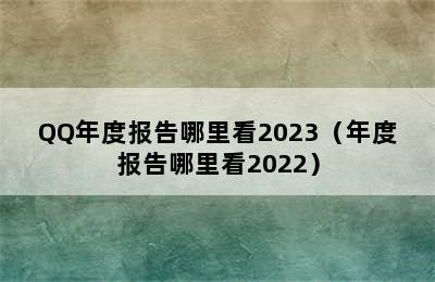 QQ年度报告哪里看2023（年度报告哪里看2022）