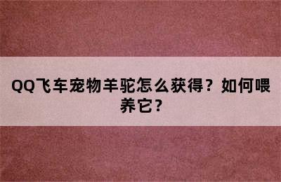 QQ飞车宠物羊驼怎么获得？如何喂养它？