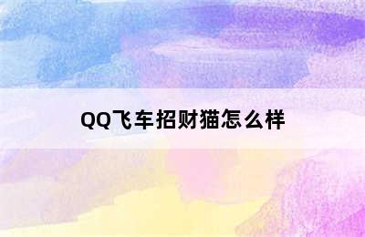 QQ飞车招财猫怎么样