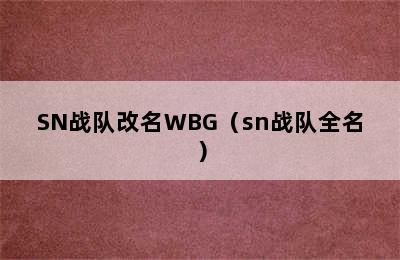 SN战队改名WBG（sn战队全名）