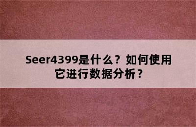 Seer4399是什么？如何使用它进行数据分析？