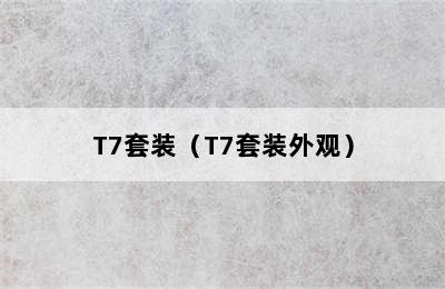 T7套装（T7套装外观）