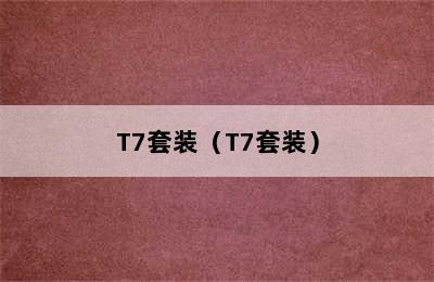 T7套装（T7套装）