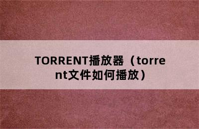 TORRENT播放器（torrent文件如何播放）