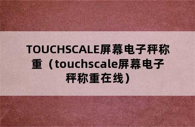 TOUCHSCALE屏幕电子秤称重（touchscale屏幕电子秤称重在线）