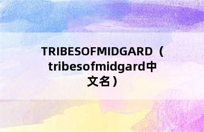 TRIBESOFMIDGARD（tribesofmidgard中文名）