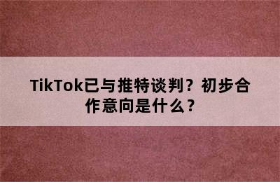 TikTok已与推特谈判？初步合作意向是什么？